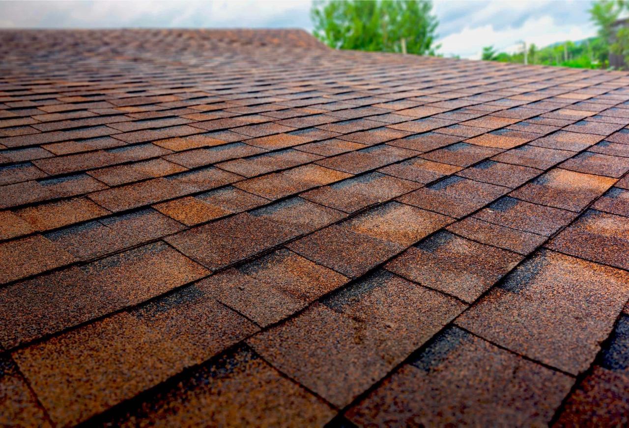 Roofing shingle companies
